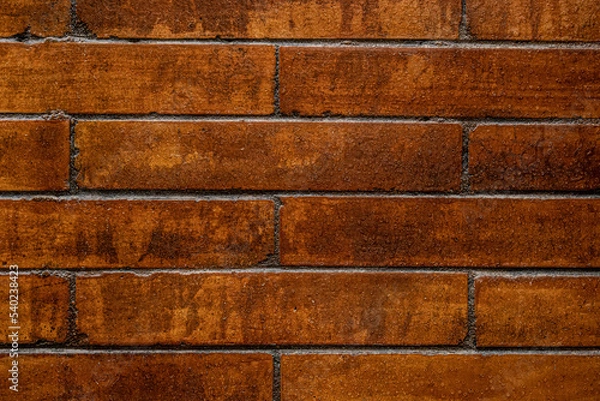 Obraz Fondo y textura de pared ladrillos