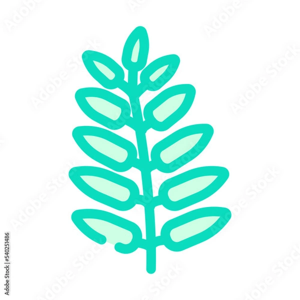 Fototapeta royal fern tropical leaf color icon vector. royal fern tropical leaf sign. isolated symbol illustration