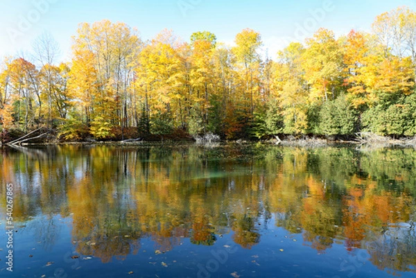 Obraz Hiking trails and a large series of freshwater ponds at the fish hatchery in Northern Michigan in Oden, near Alanson, two rural small towns.
