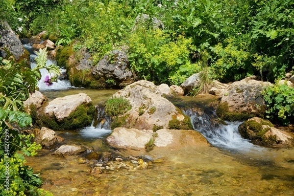 Fototapeta A swift mountain river. Water flows in nature. Mountainous terrain.
