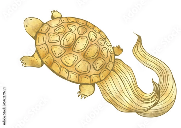 Fototapeta 縁起物の亀　挿絵イラスト