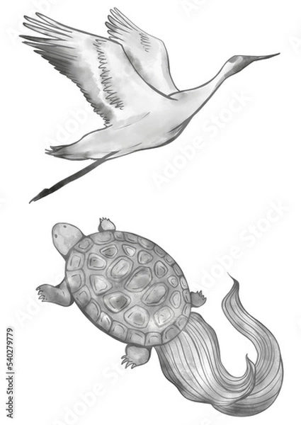 Obraz 縁起物の鶴と亀　墨絵イラスト