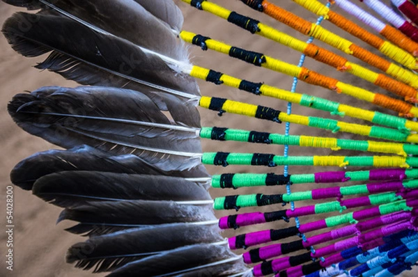 Obraz Native American Feather Headdress