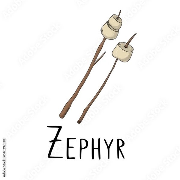 Obraz White marshmallows on two brown branches for cooking on a campfire on a white background