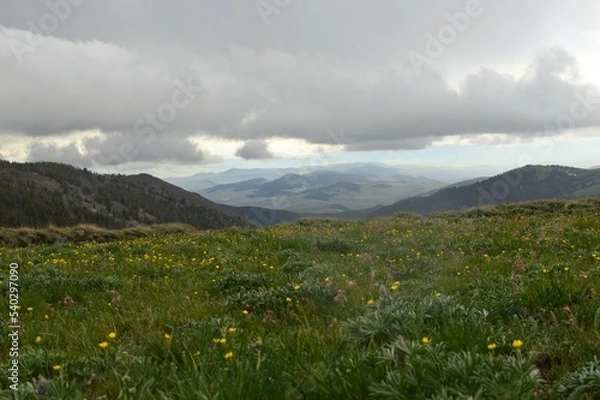 Obraz Rainy Cloudy Mountain Valley View