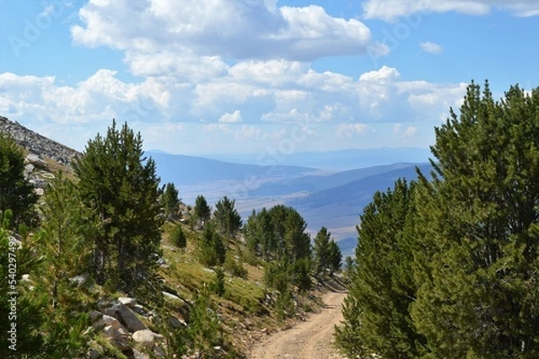 Obraz Mountain Dirt Road