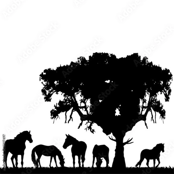 Obraz Horses Silhouette 