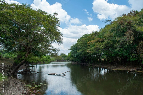 Obraz Rio Meraúba   na Amazônia. 