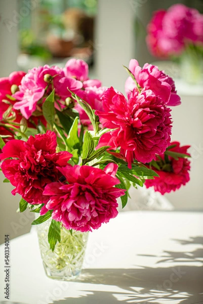 Obraz red peonies in the vase