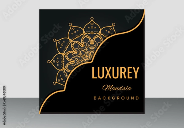 Fototapeta Luxury mandala background with golden mandalas, vector decorative mandala for print, poster, cover, brochure, flyer, and banner.