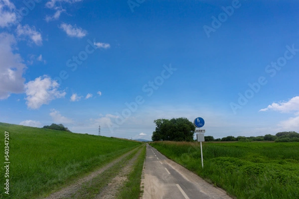 Obraz 地平線まで続くまっすぐなサイクリングロード