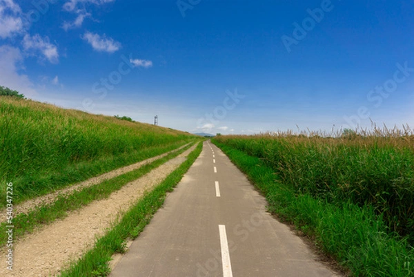 Obraz 地平線まで続くまっすぐなサイクリングロード