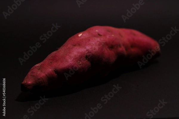 Obraz 季節のお野菜