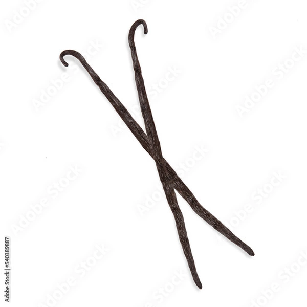 Fototapeta Vanilla. Fresh vanilla pods. Isolated. Top view. Precision cut and impeccable finish that allows the addition of different and colored backgrounds. Slight drop shadow, for more realism.