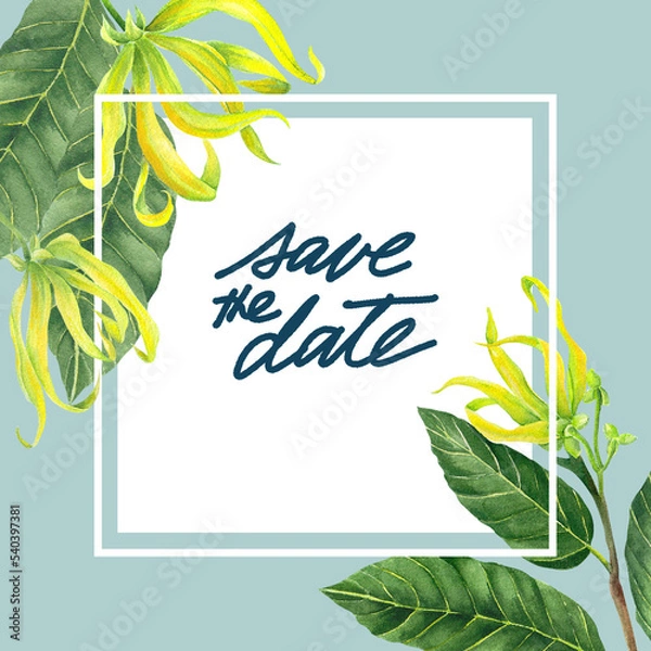 Obraz Philippine flora save the date invitation cananga odorata ylang ylang