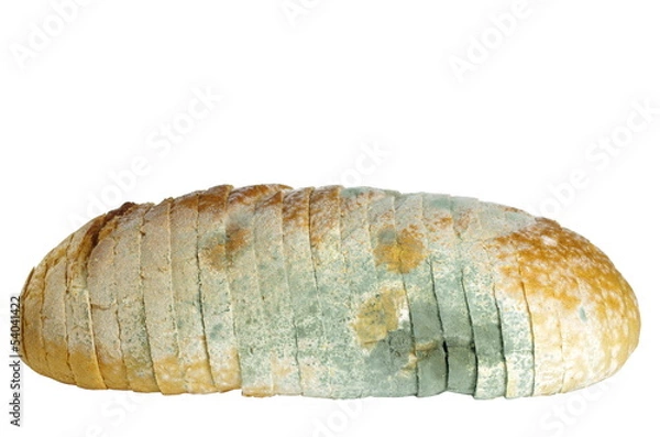 Obraz mouldy bread