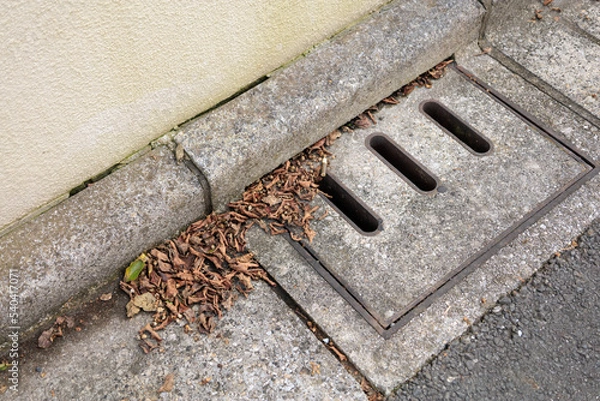 Obraz 道路側溝のふたに詰まった枯れ葉　落ち葉　秋　イメージ