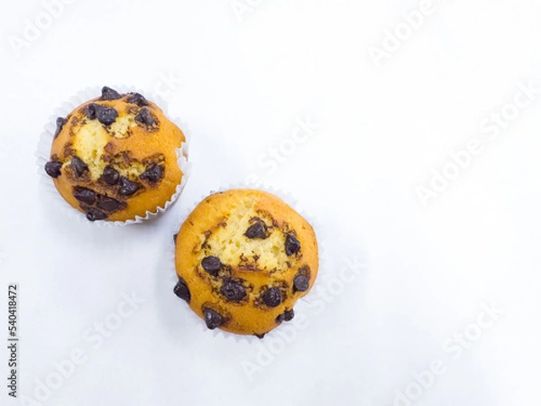 Obraz A chocolate chip mini muffin