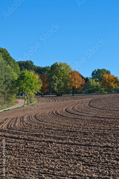 Obraz Frisch gepfügt
