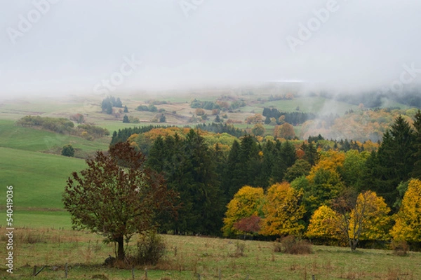 Obraz Herbstlandschaft