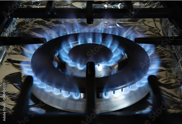 Obraz Close up of gas burner (focus stack)