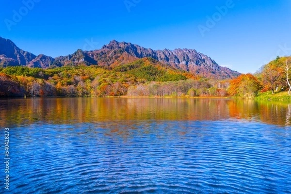 Fototapeta 紅葉の美しい秋の戸隠連峰と鏡池の鏡面