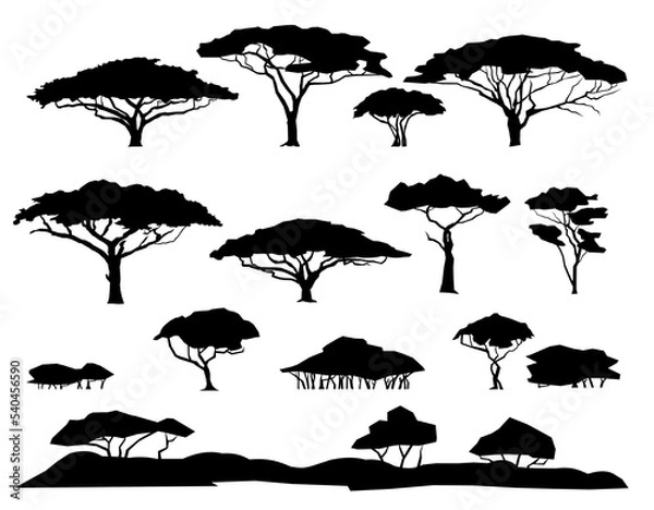 Fototapeta Set of plants. African savannah landscape. Silhouette picture. Africa acacia tree. Isolated on white background. Vector.