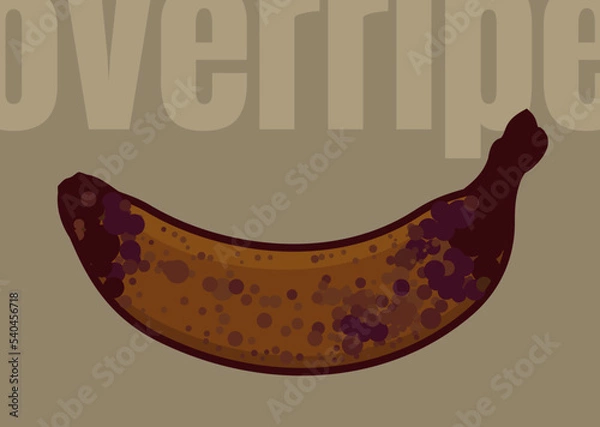 Fototapeta Overripe banana. The stage of full ripening of the fruit. Very sweet and juicy black vector banana. Isolated