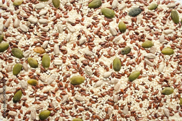 Fototapeta Background from a placer of various seeds and grains.