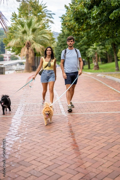 Fototapeta A young happy caucasian couple walking their dogs in a cloudy day in Spain in Bilbao and staring at the camera