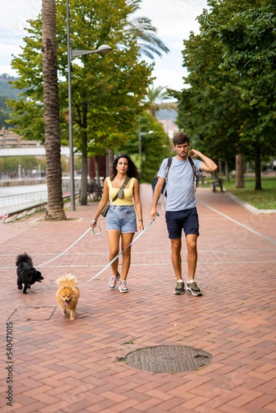 Fototapeta A young happy caucasian couple walking their dogs in a cloudy day in Spain in Bilbao and staring at the camera