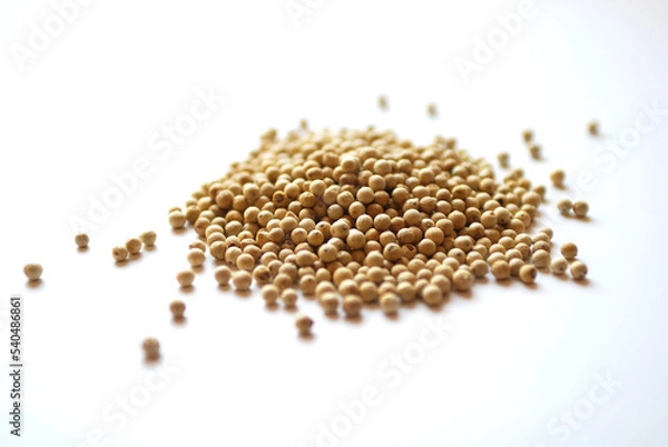 Obraz Weisser Pfeffer