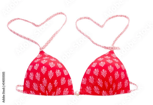 Obraz Red bikini top with heart shape