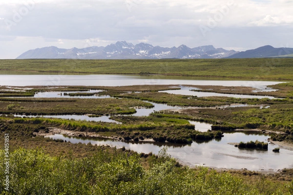Obraz tundra in alaska