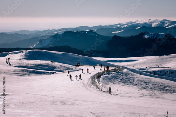 Fototapeta Panoramic view over the ski slope Poiana Brasov ski resort in Transylvania, Pine forest covered in snow on winter season,Mountain landscape in winter with the Bucegi Mountains in the background.