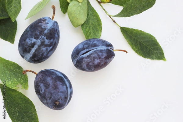 Obraz Plums with leaves on a white background. Top view.