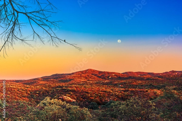 Obraz pôr-do-sol no sertão