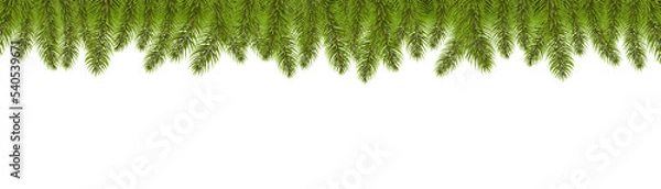 Fototapeta Fir Tree Border With White Background