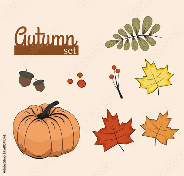 Fototapeta autumn set with orange pumpkin, maple leaves, acorns and rowan, cozy fall, halloween decoration, thanksgiving day, september, october, november, welcome autumn mood, flat background, poster
