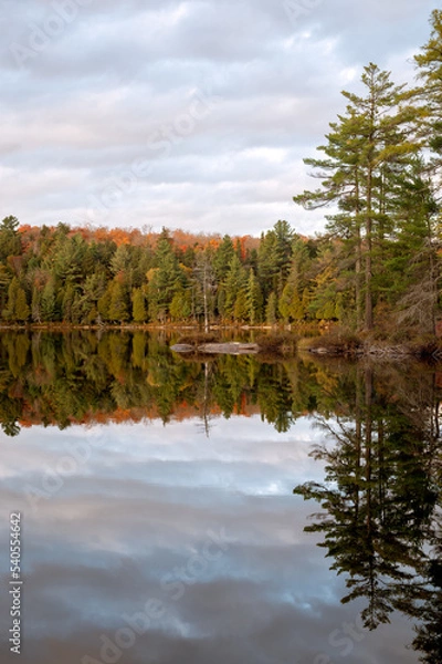 Fototapeta An autumn colored forest reflects on a calm lake. Pincher Lake, Algonquin Provincial Park, Ontario, Canada.