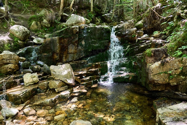 Obraz A small stream and waterfall on a trail in the White Mountains in Carroll County, NH, near Mt Willard
