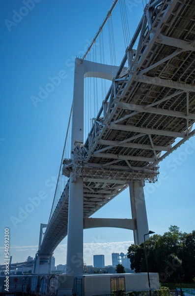 Fototapeta レインボーブリッジ