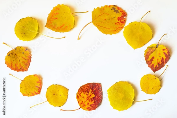 Fototapeta Yellow and red autumn leaves flat lay composition on a white background