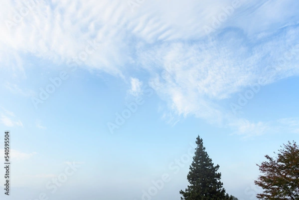 Fototapeta 青空と秋の雲
