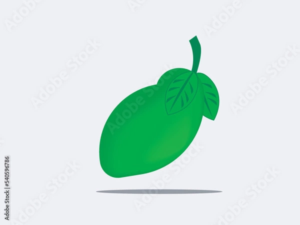 Obraz Manggo vector design