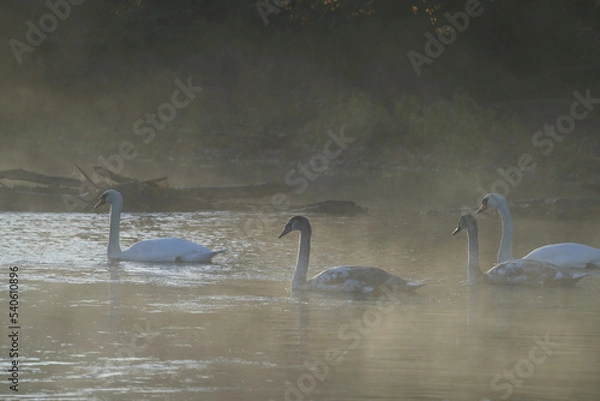 Fototapeta Sonntagmorgen