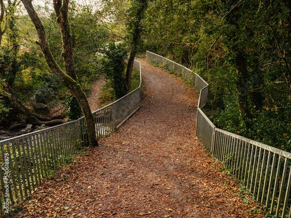 Obraz Small meatal bridge with odd shape and covered with brown fallen leaf in a forest park.
