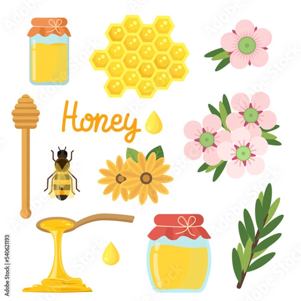 Fototapeta Honey of manuka. Set of bee, honeycomb, jar and flowers. Vector flat illustration. Design elements.