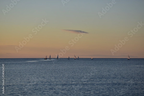 Obraz Regatta at evening in the baltics