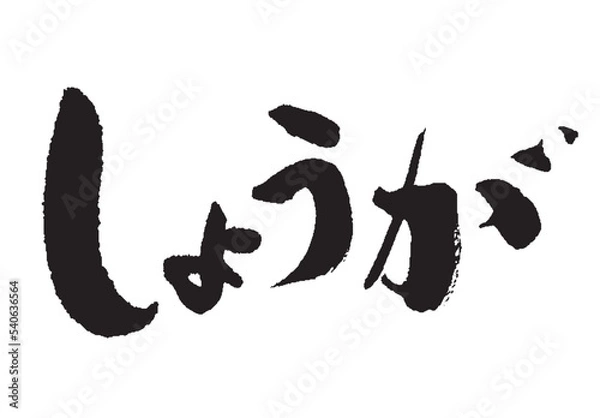 Obraz しょうが_2